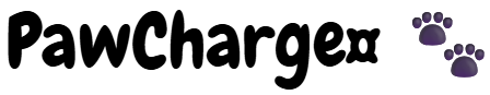 Cargador